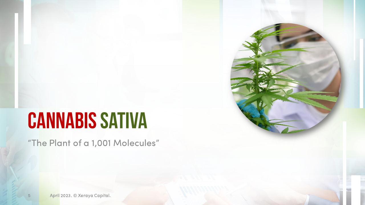 cannabis-based-medication