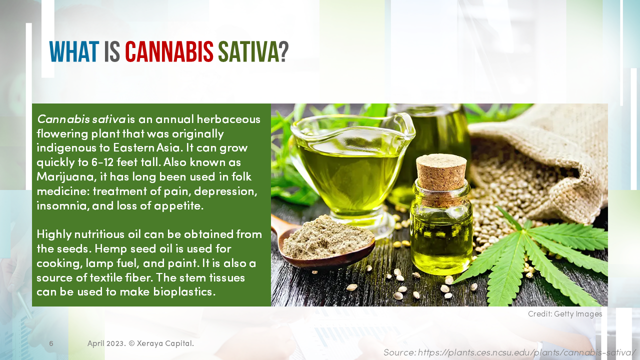 cannabis-based-medication