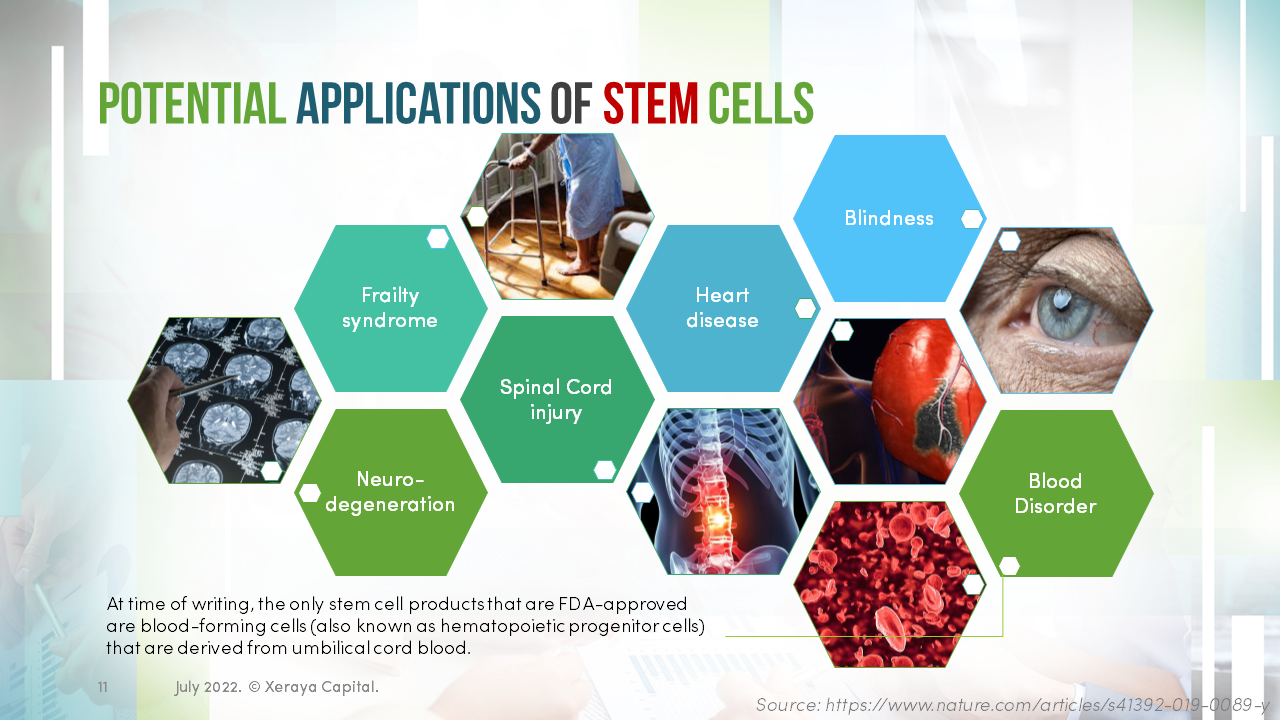stem-cell-therapy