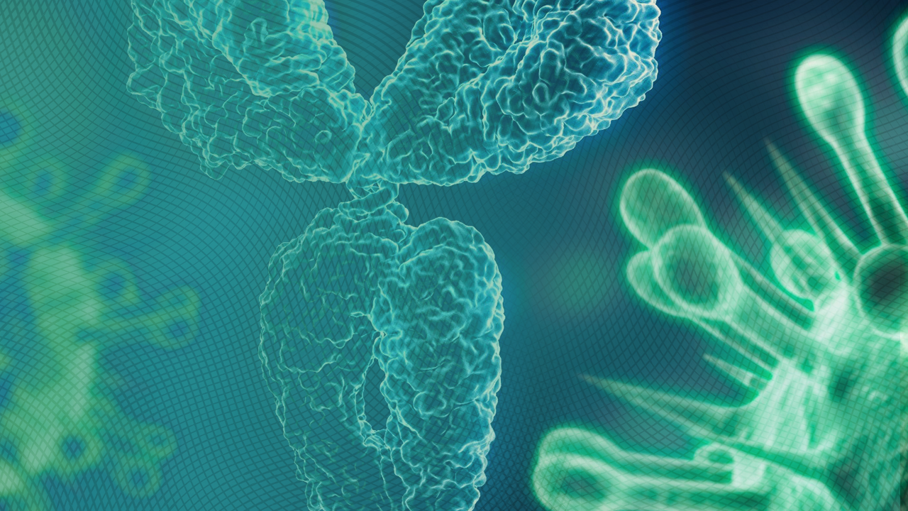 the-mechanism-of-vaccines-how-it-benefits-our-immune-system-xeraya