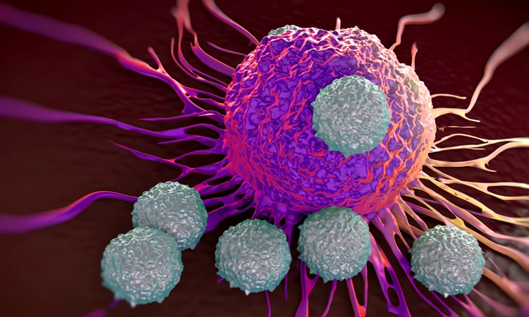 T-cells (royaltystockphoto/Shutterstock)