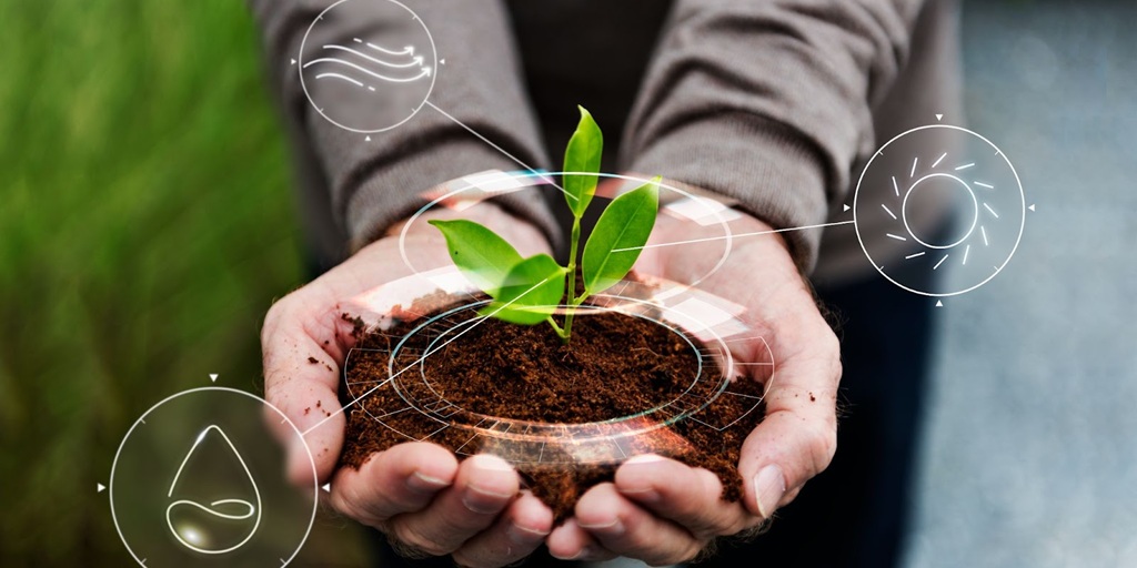 Why Sustainable Agriculture Investment is the Next Big Opportunity for Impact Investors