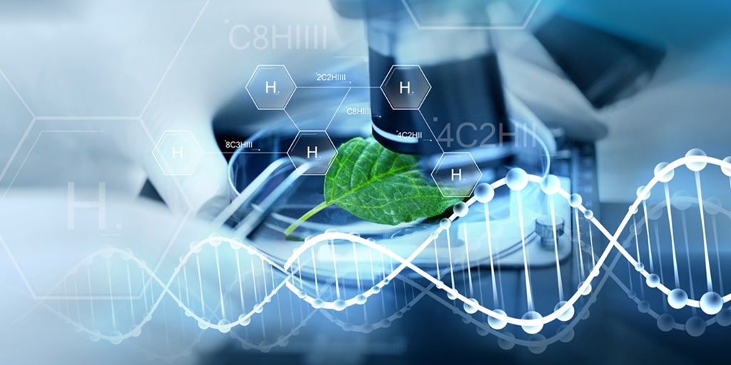 How Lifesciences is Reshaping Global Markets