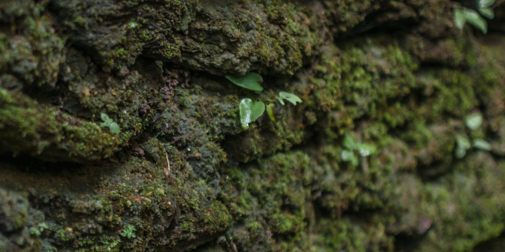 Microbiome Research in Environment and Sustainability The New Vanguard of Environmental Technology (1)