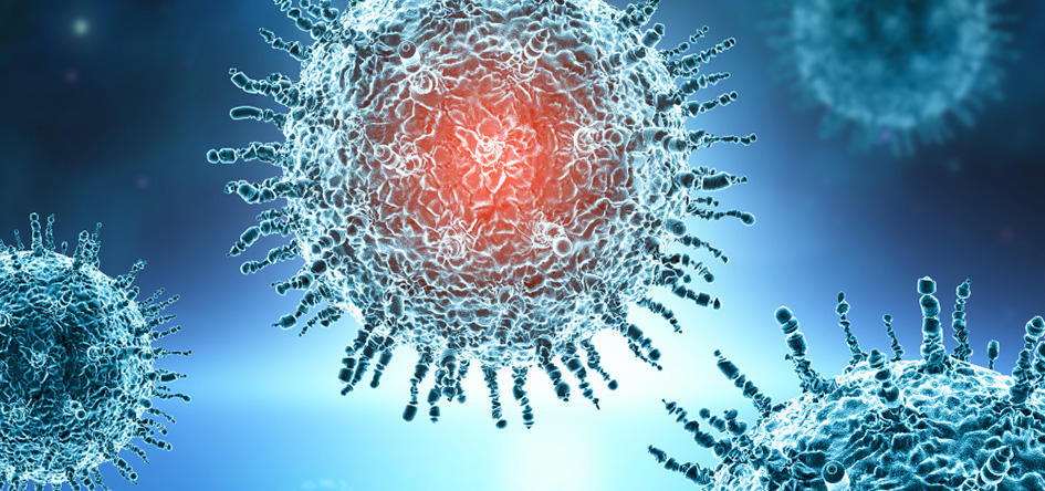 Understanding the Virus That Has the World on Alert